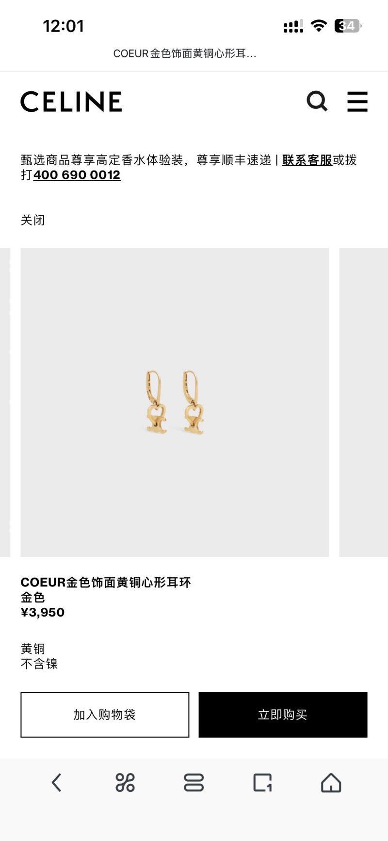 Celine Earrings